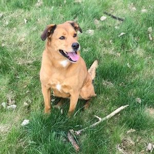 Meet your Posher, Taylor